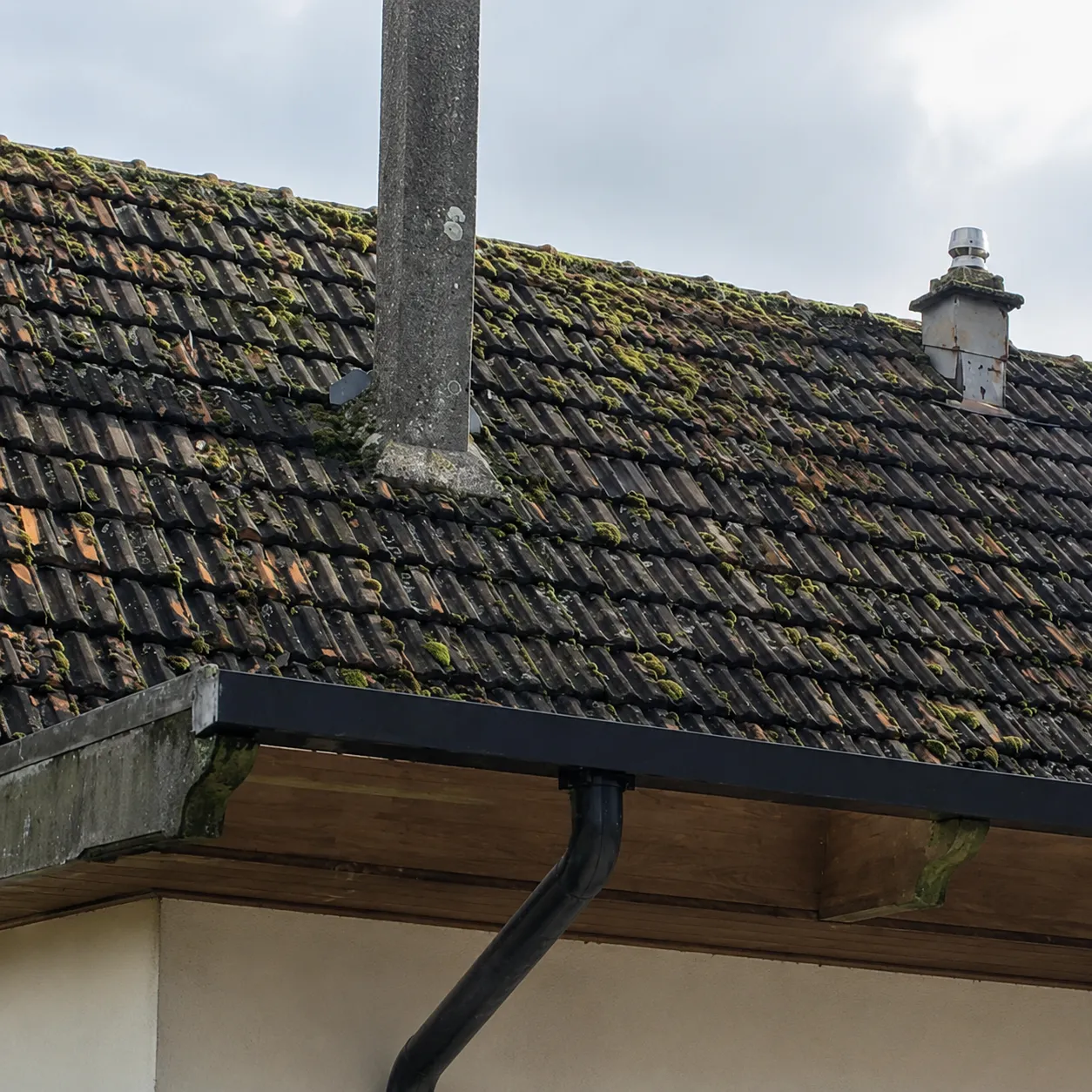 Démoussage toiture à Amboise : ce que je vérifie avant de grimper