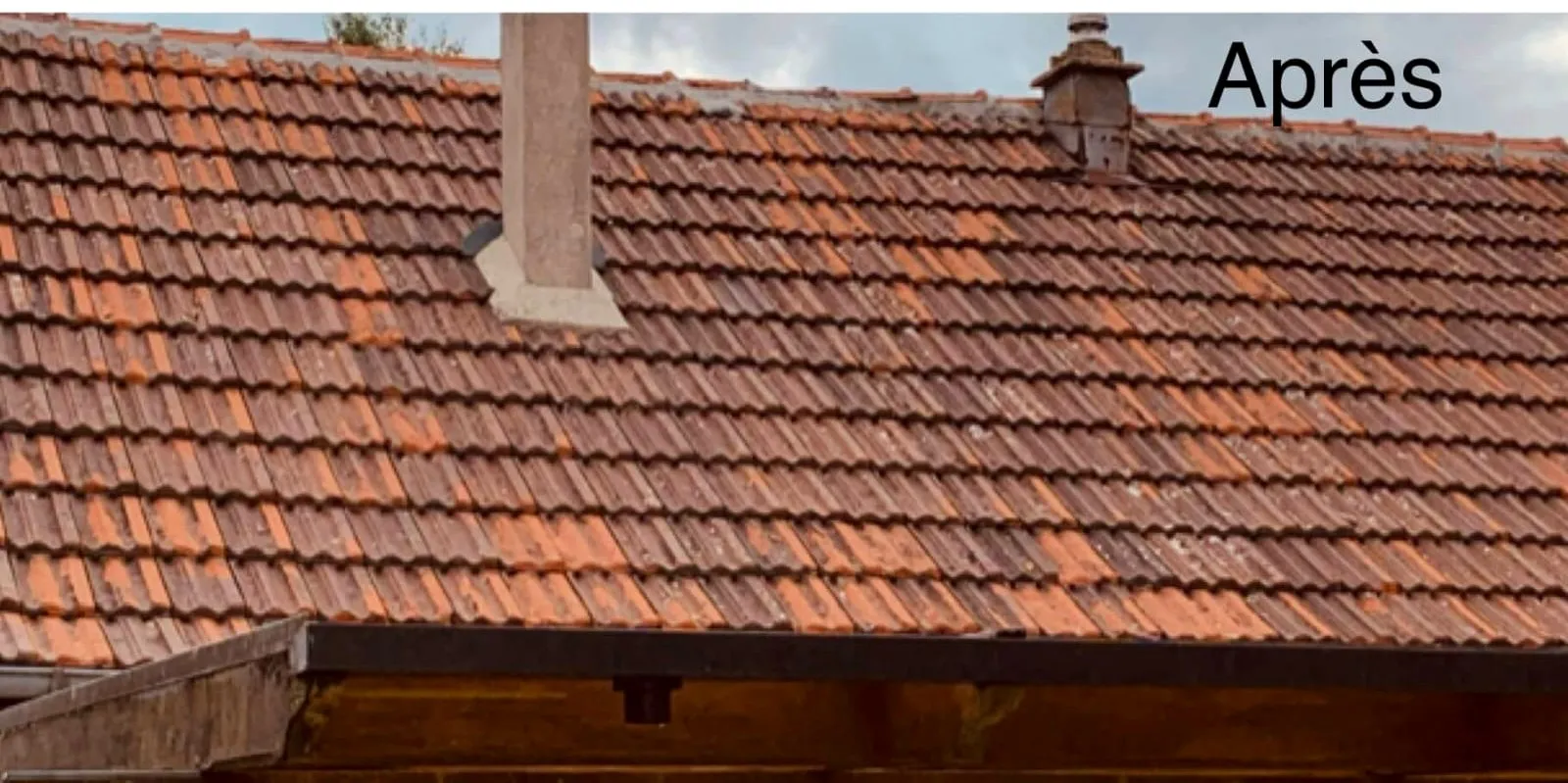 Démoussage tuiles fortement encrassées — Amboise — après