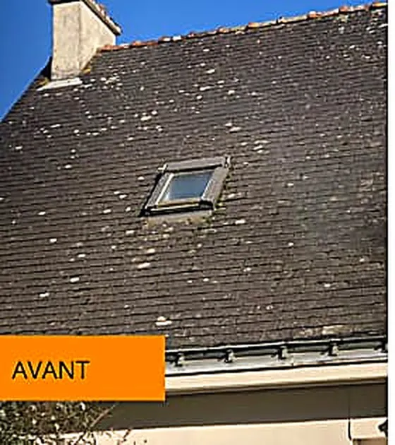Traitement complet toiture ardoise — Pocé-sur-Cisse — avant
