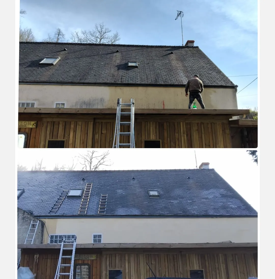 Démoussage d'une toiture en ardoise à Amboise : ce qu'il faut savoir